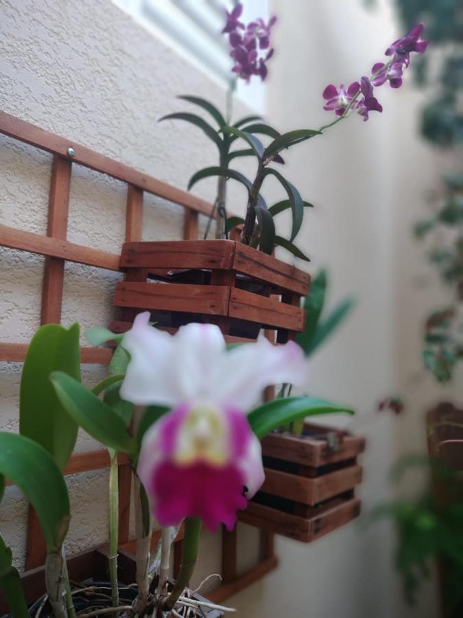 Nossa Casinha Atibaia - Linda Vista Pra Pedra Grande Villa Exterior foto