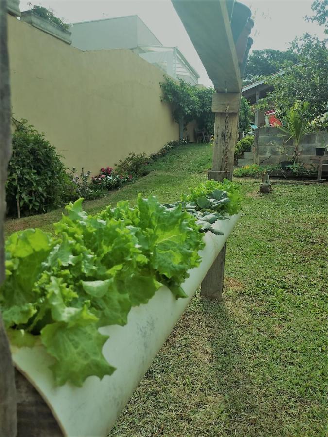 Nossa Casinha Atibaia - Linda Vista Pra Pedra Grande Villa Exterior foto